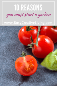 10 Reasons you Must Start a Garden - The Busy Creative
