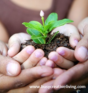 Girl holding Seedling