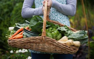 Woman with garden basket. 10 Money saving home garden crops